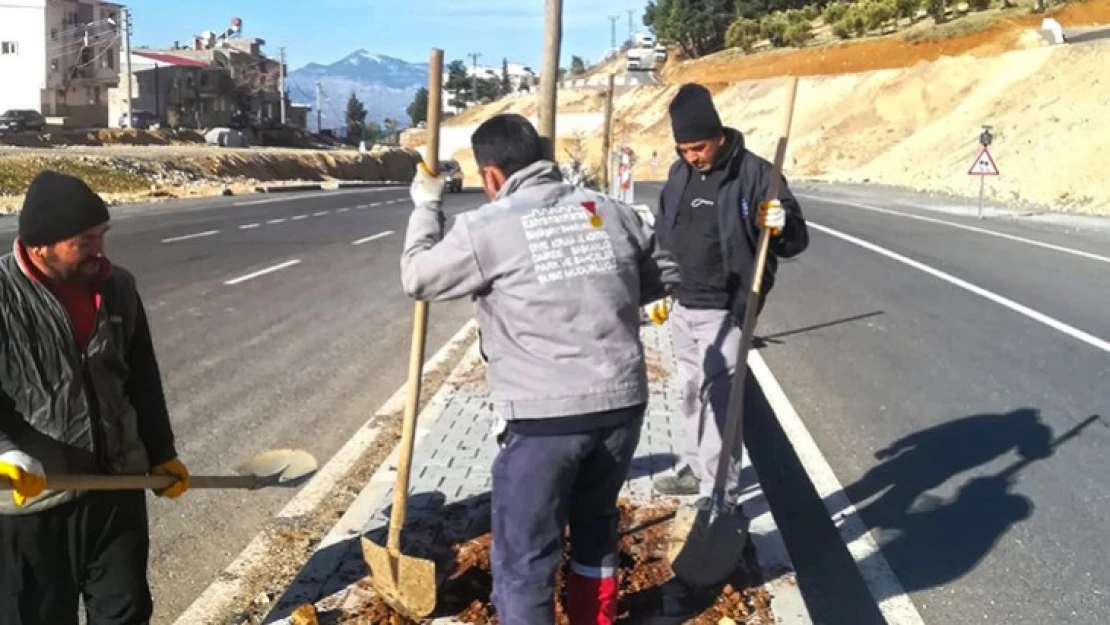 Bin yüz fidan toprakla buluşturuluyor