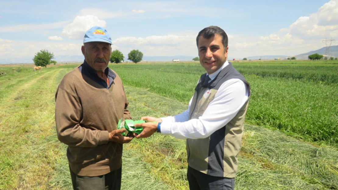 Buğdayda süne ile biyolojik mücadele başladı