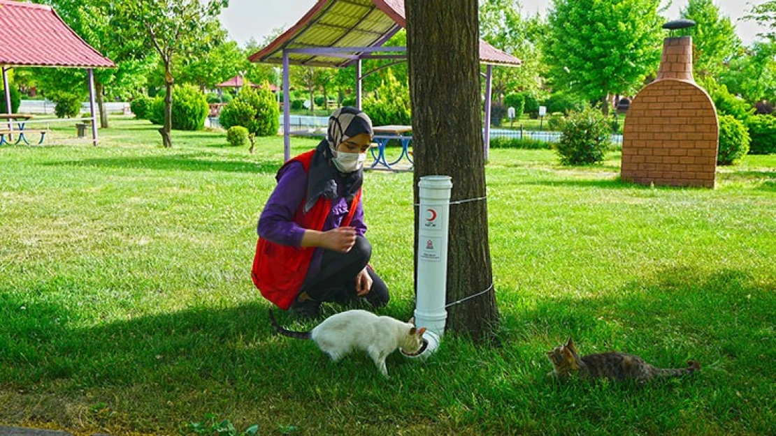 Can dostlar 'kapanmada' unutulmadı