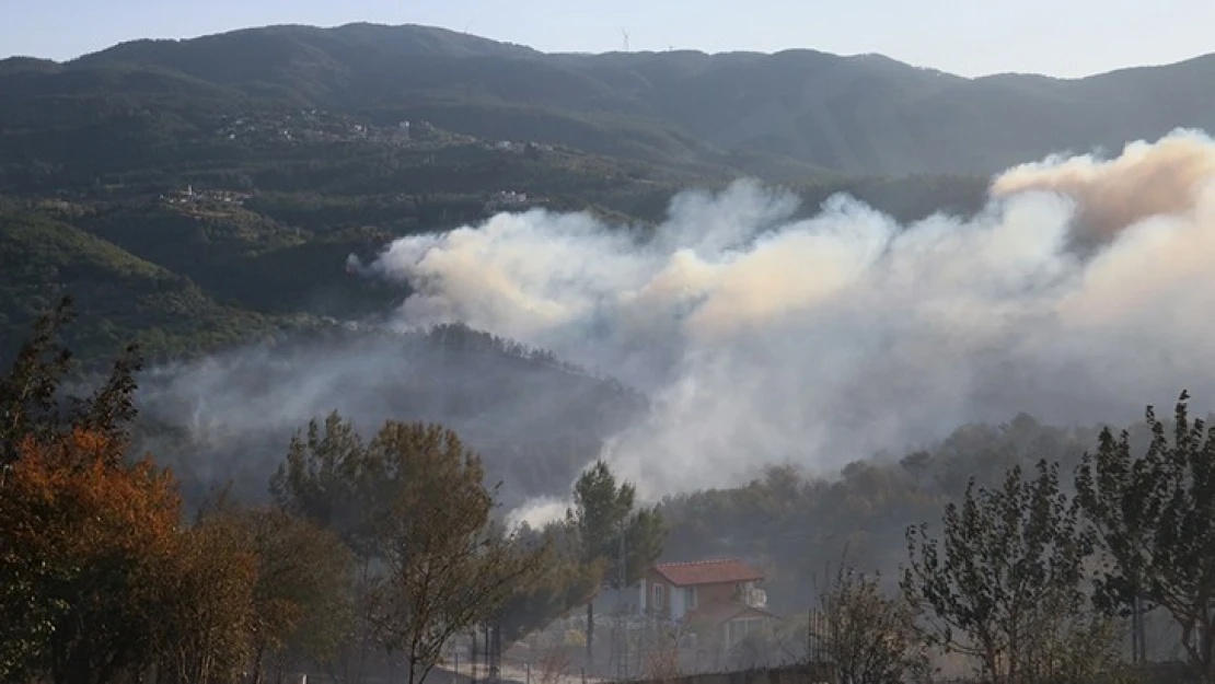 Çıkan orman yangını 3 ilçeye yayıldı