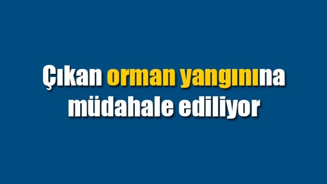 Çıkan orman yangınına müdahale ediliyor