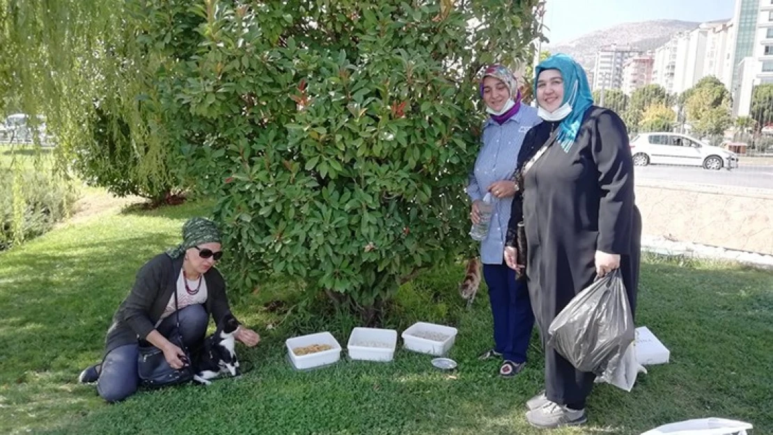 DEVA Partisi Kahramanmaraş'ta sokak hayvanlarına mama ve su bıraktı