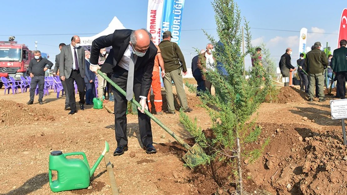 Dulkadiroğlu'nda her ses bir nefes projesi kapsamında 223 bin 277 fidan toprakla buluşacak