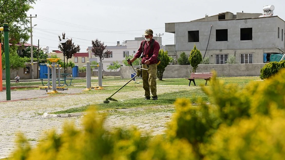 Dulkadiroğlu'nda park ve bahçeler yaza hazır