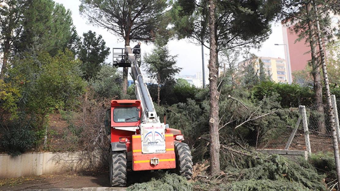 Dulkadiroğlu'nda park ve bahçeler kışa hazırlanıyor