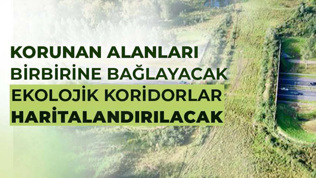 Ekolojik koridorlar haritalandırılacak