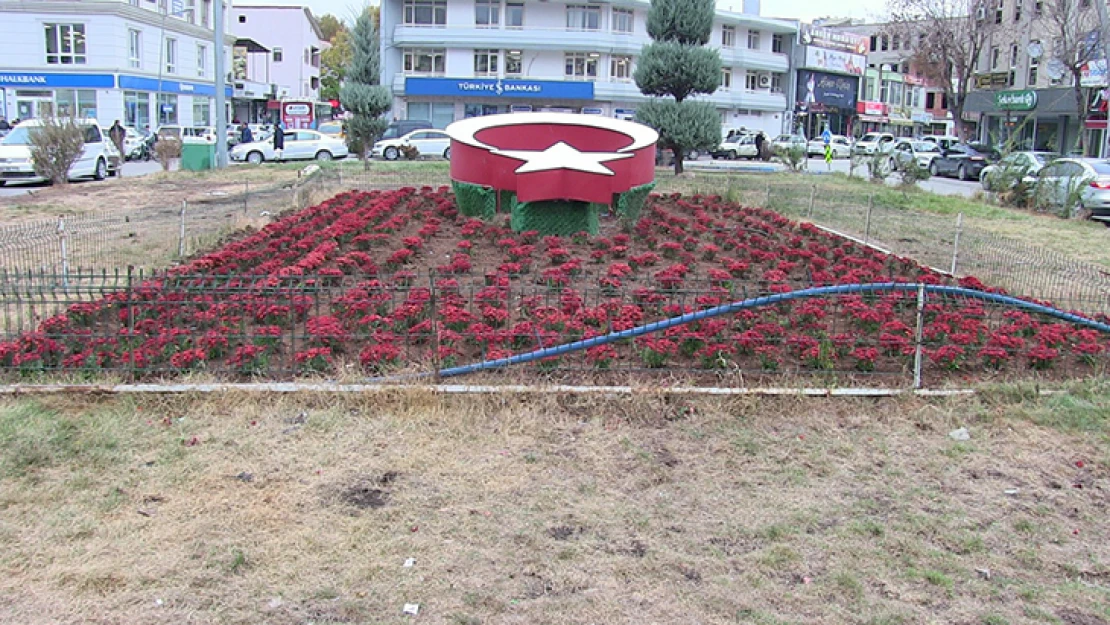 Elbistan, kasımpatı çiçekleri ile renklendi