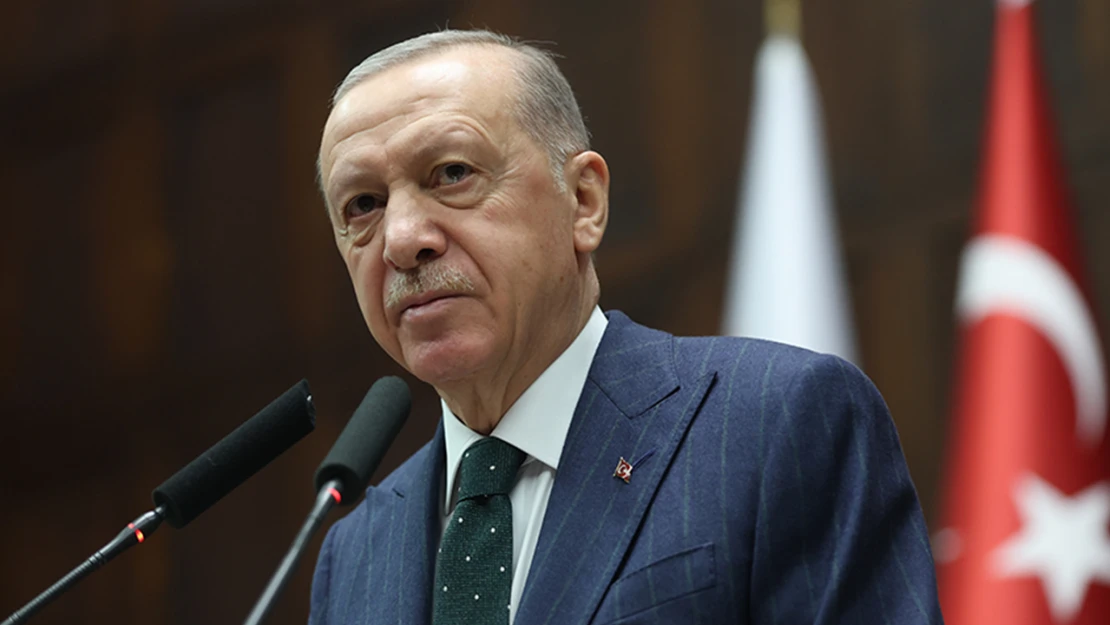 Erdoğan, sokak hayvanları düzenlemesinin detaylarını anlattı