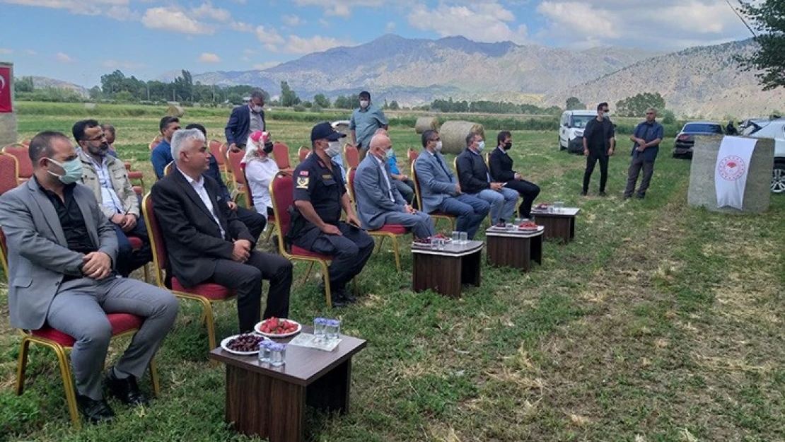 Göksun'da yem bezelyesi tarla günü düzenlendi