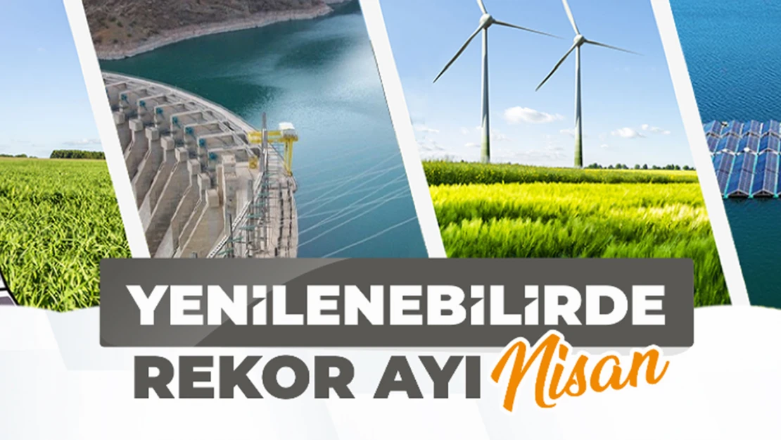 Güneş ve Rüzgar kaynaklı elektrik üretimi rekor kırdı