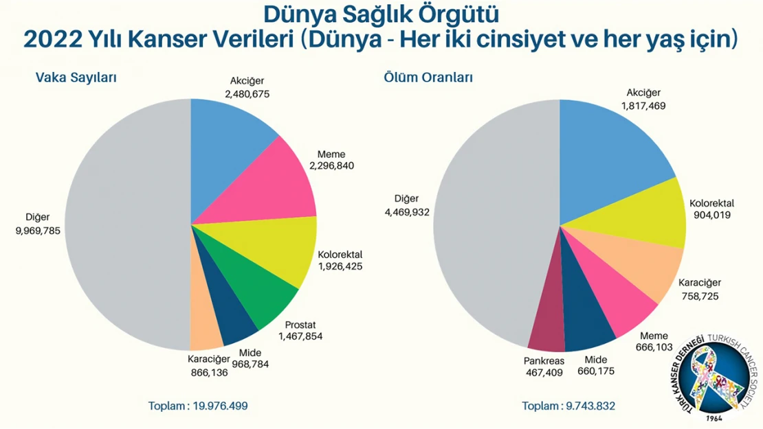 Her 5 ölümden biri kanserden