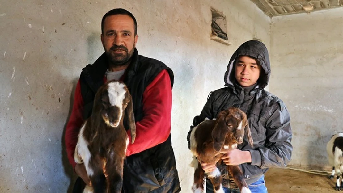 İlginç ama gerçek çift cinsiyetli doğdular