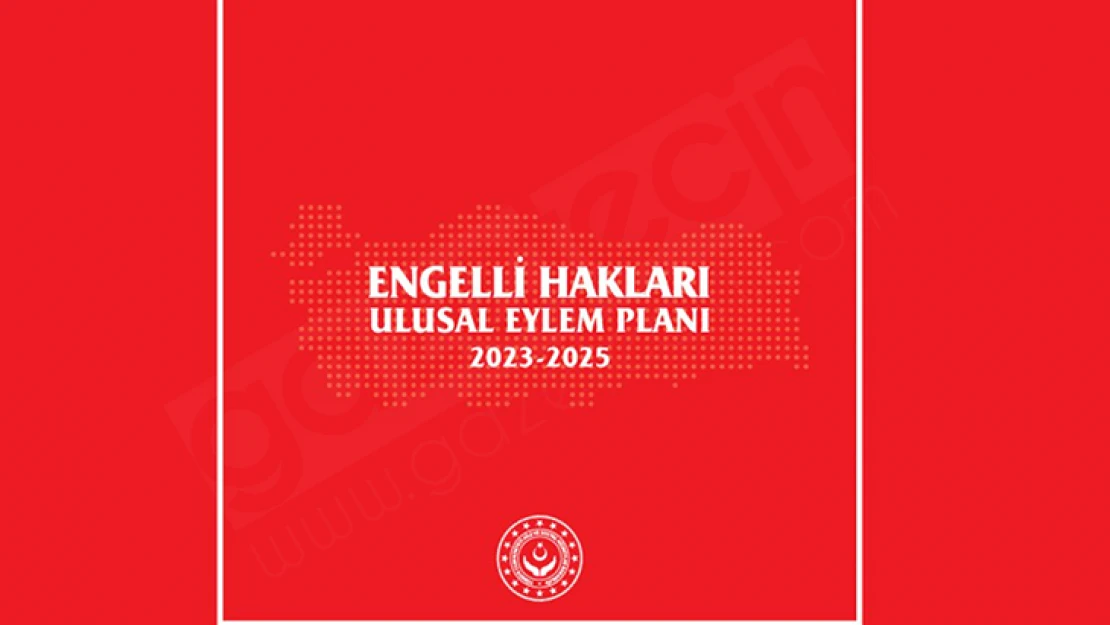 İlk engelli hakları ulusal eylem planı hazırlandı