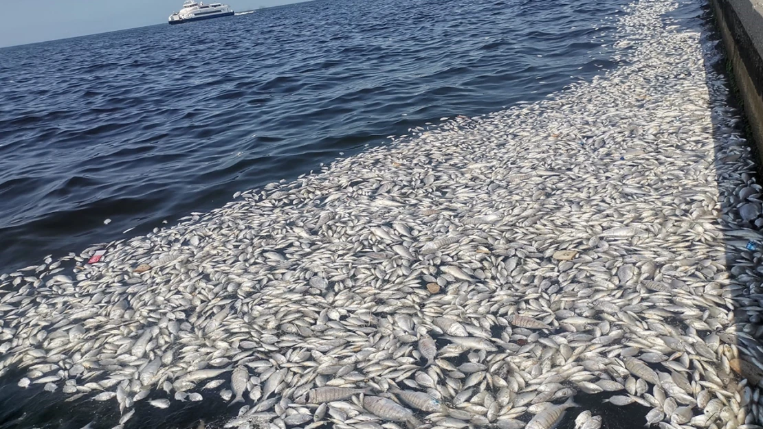 İzmir Büyükşehir Belediyesi hakkında suç duyurusu