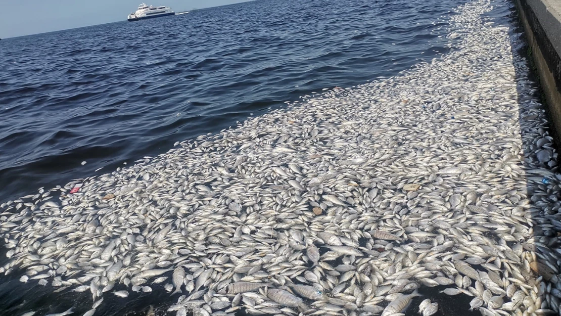 İzmir Körfezi'ne nefes aldıracak önlemler açıklandı