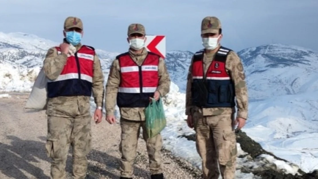 Jandarma, yabani kuşlar için doğaya yem bıraktı