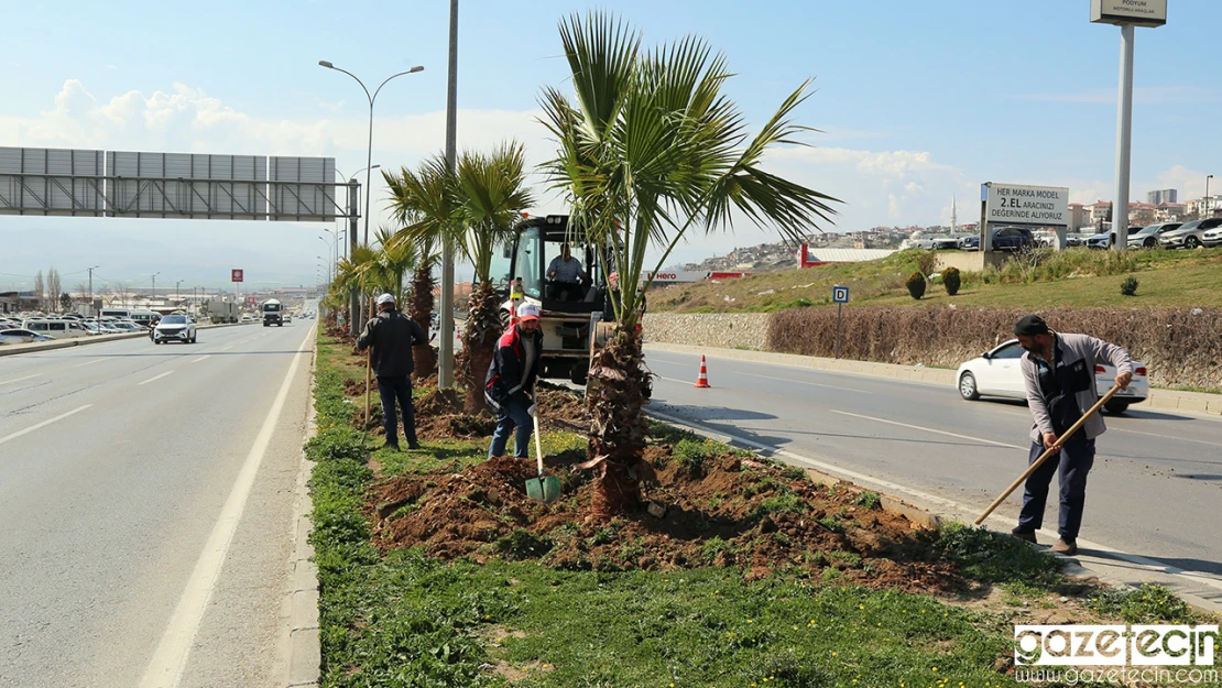 Kahramanmaraş'ta 2 bin ağaç toprakla buluşturuldu