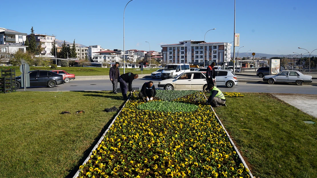 Kahramanmaraş'ta 500 bin mevsimlik çiçek, toprakla buluştu