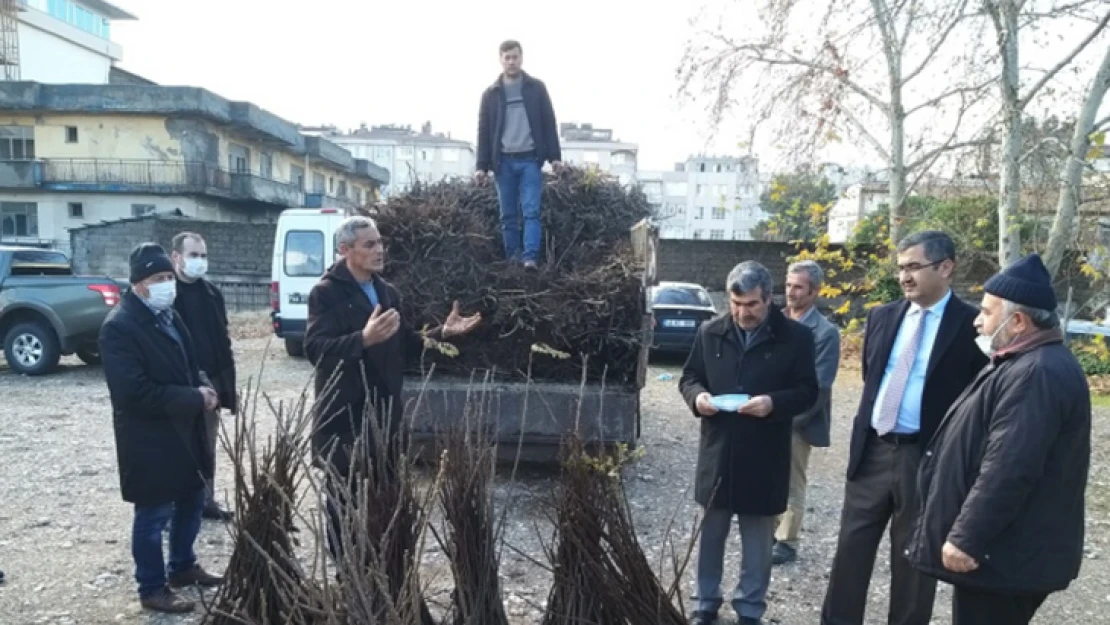 Kahramanmaraş'ta 8 bin sumak fidanı üreticiye dağıtıldı