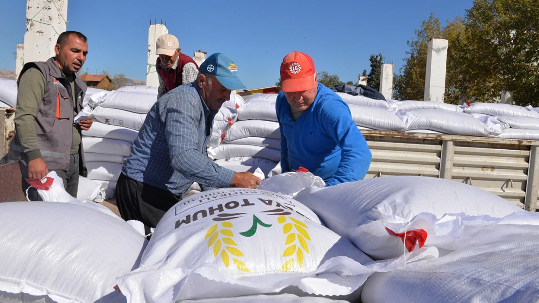 Kahramanmaraş'ta 87 ton mercimek tohumu üreticiye dağıtıldı