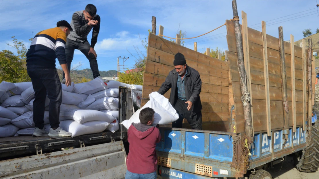 Kahramanmaraş'ta 99 bin kg Kırmızı Mercimek tohumluğu dağıtıldı