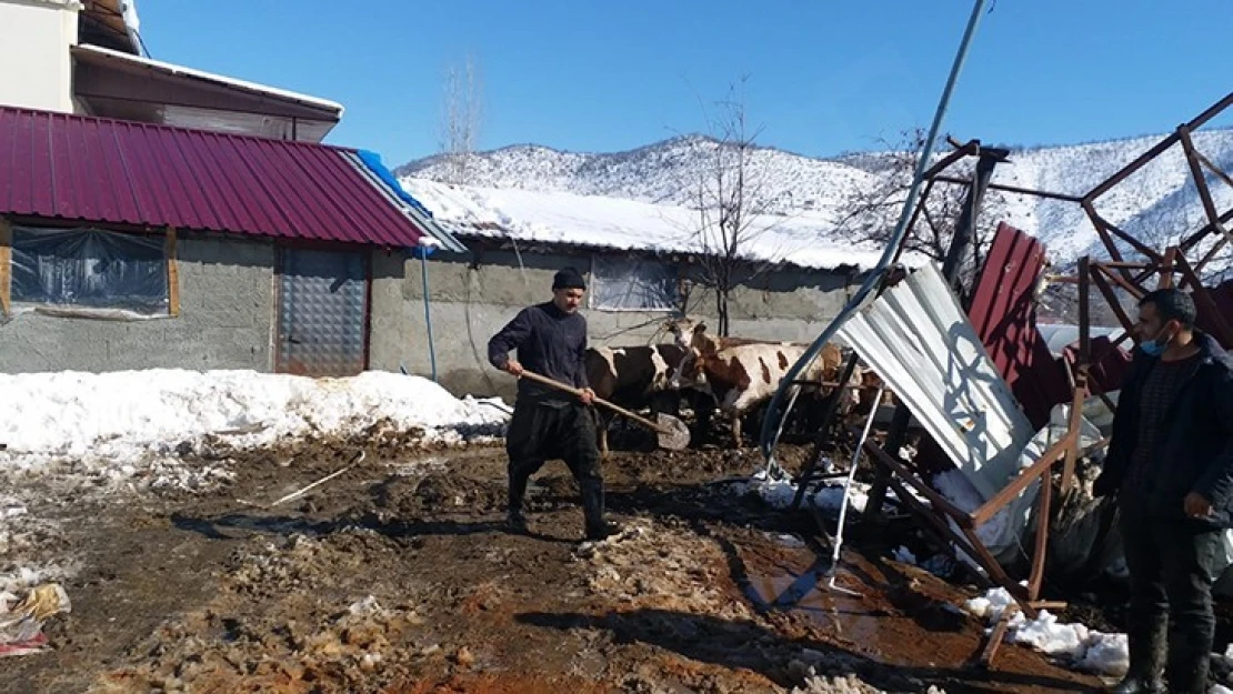 Kahramanmaraş'ta ahırların çatıları çöktü: 7 hayvan telef oldu