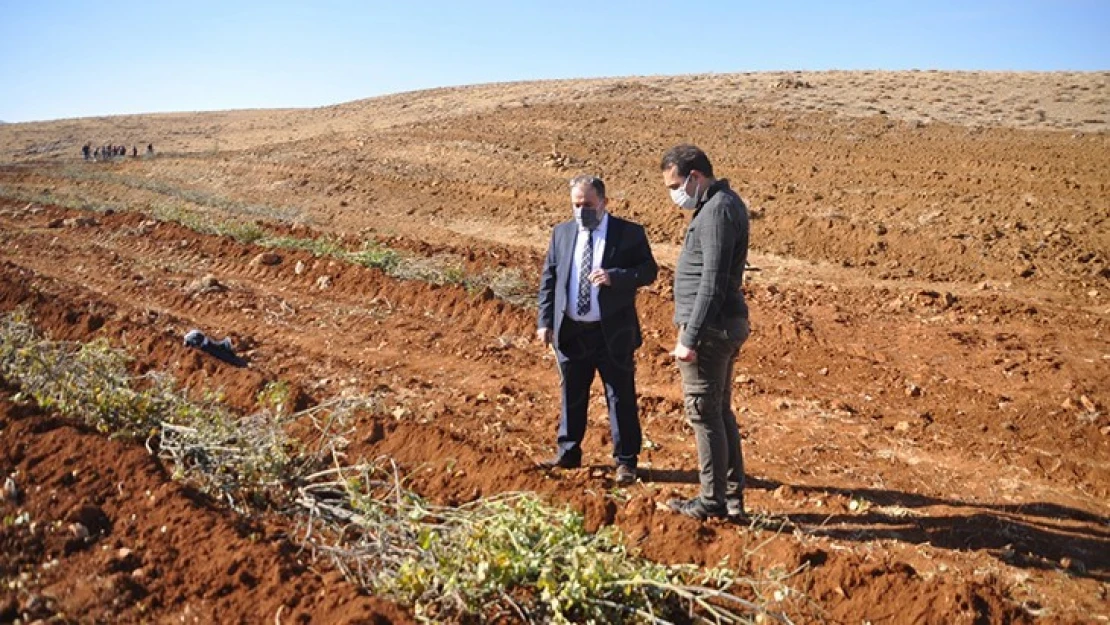 Kahramanmaraş'ta baba ve oğulun azmi gül açtıracak