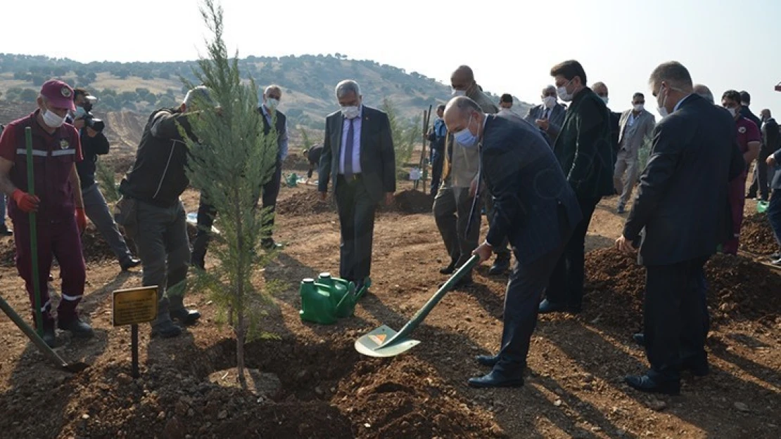 Kahramanmaraş'ta fidanlar toprakla buluştu