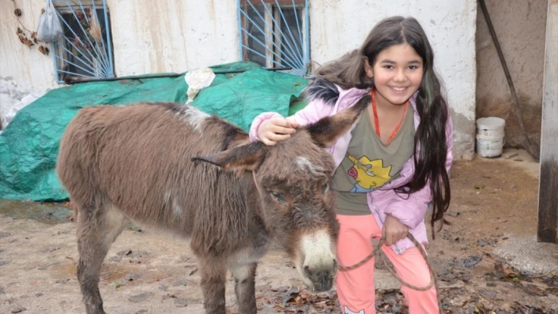 Kahramanmaraş'ta işkence edilen eşek 10 yaşındaki çocuğa verildi