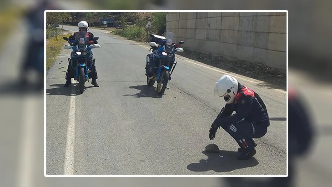 Kahramanmaraş'ta jandarmanın kaplumbağa hassasiyeti