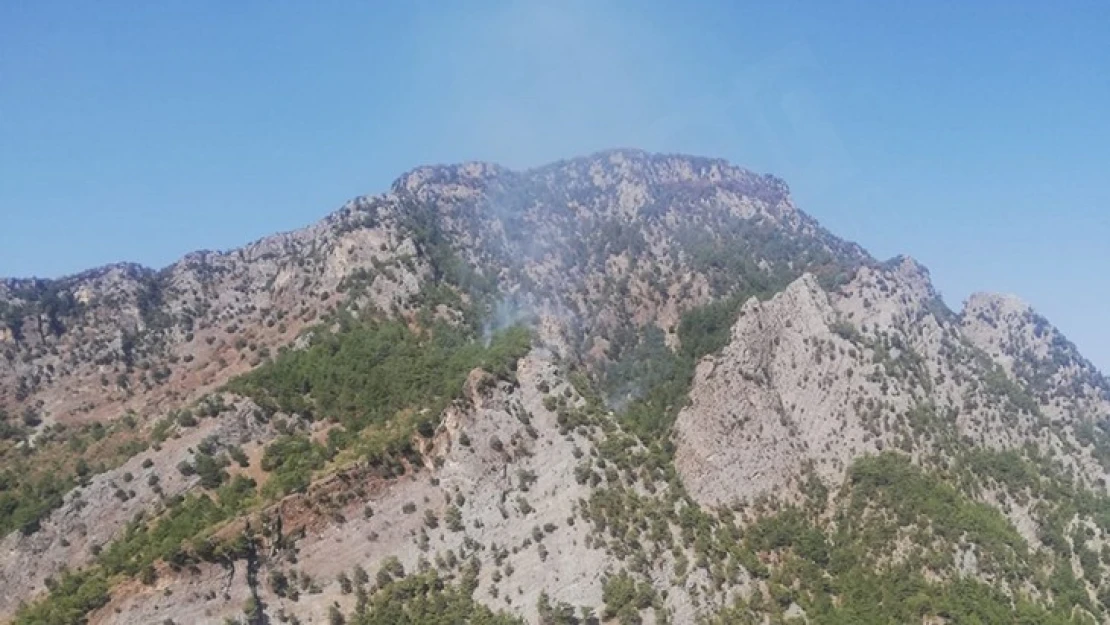 Kahramanmaraş'ta ki örtü yangını söndürüldü