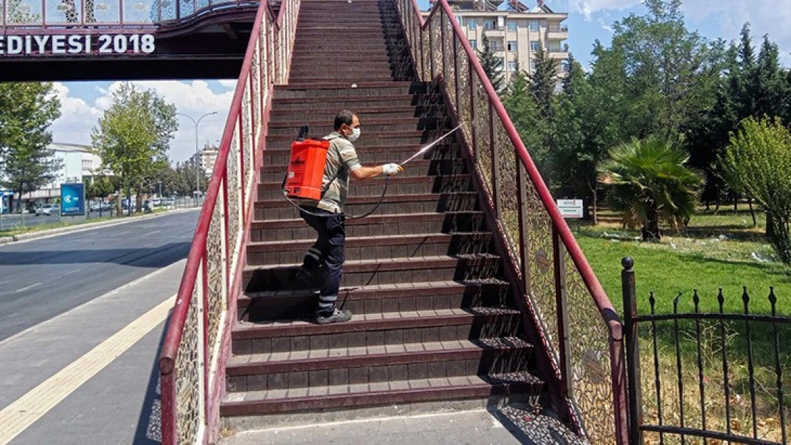 Kahramanmaraş'ta Kurban Bayramı öncesi dezenfeksiyon seferberliği başladı