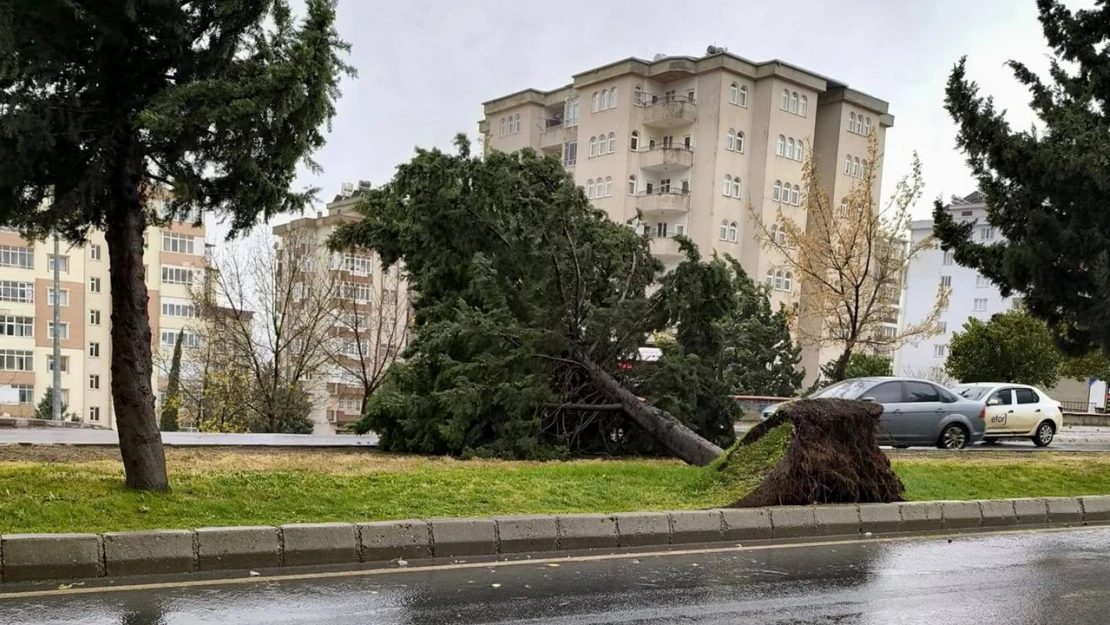 Kahramanmaraş'ta kuvvetli fırtına uyarısı!