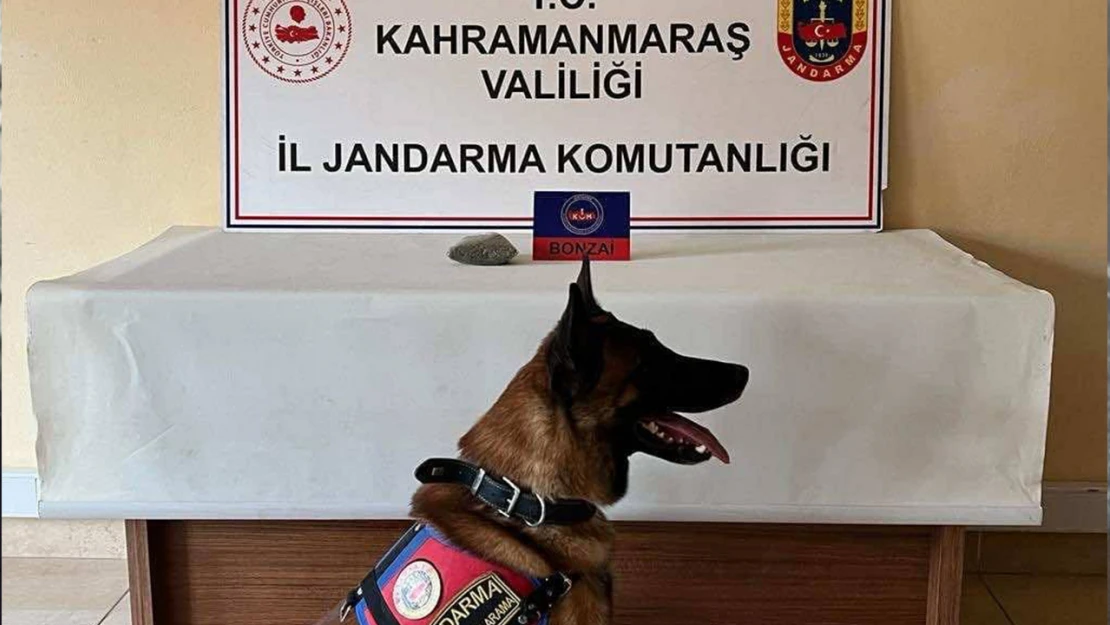 Kahramanmaraş'ta narkotik operasyon