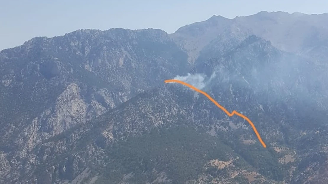 Kahramanmaraş'ta orman yangını çıktı