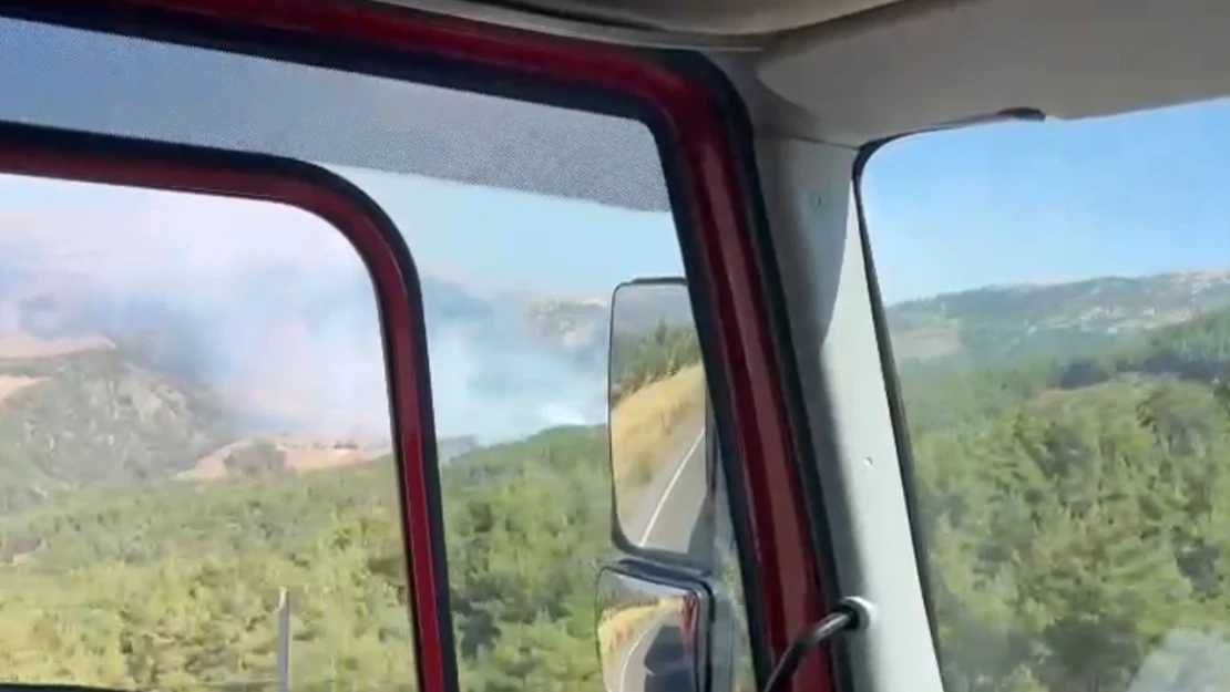 Kahramanmaraş'ta orman yangını başladı