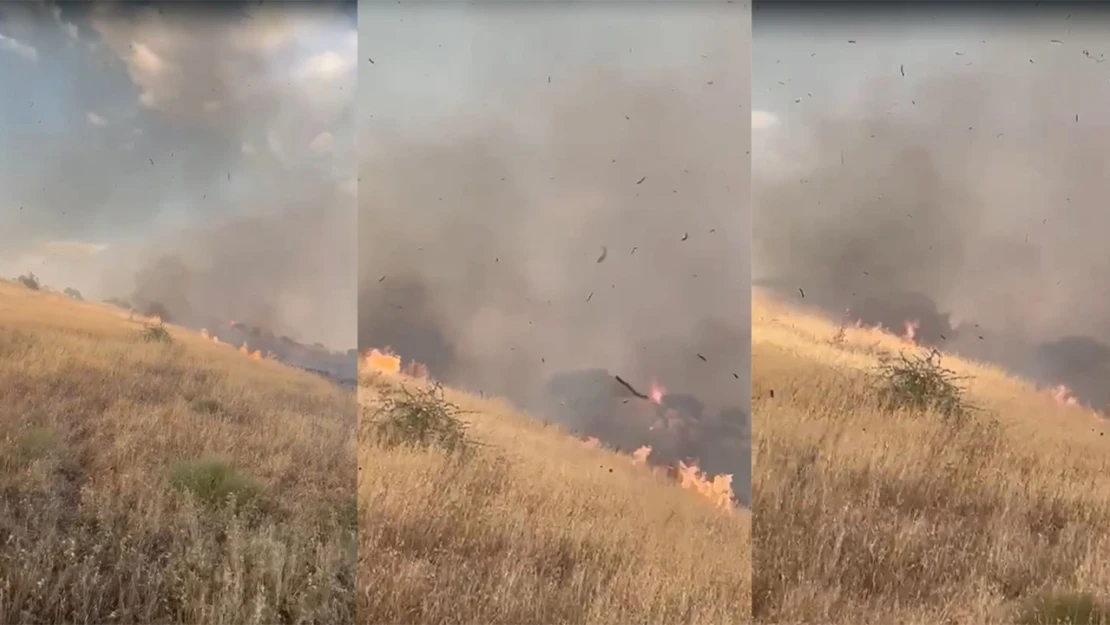 Kahramanmaraş'ta orman yangını: Ekipler müdahale ediyor