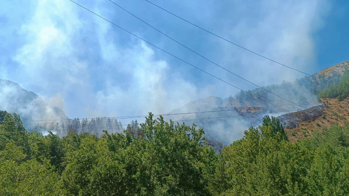 Kahramanmaraş'ta orman yangını