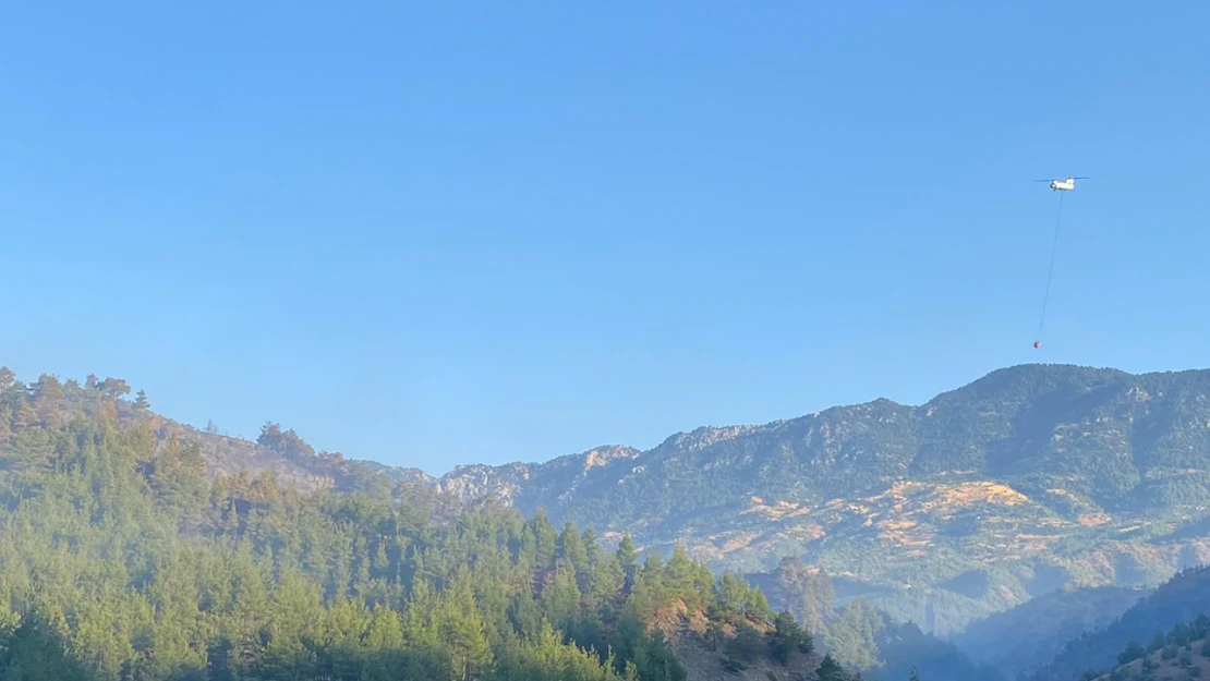 Kahramanmaraş'ta orman yangını başladı! Ekipler müdahale ediyor