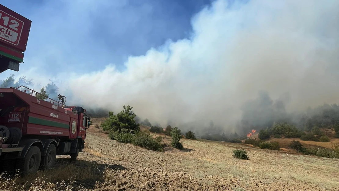 Kahramanmaraş'ta orman yangını kontrol altına alındı