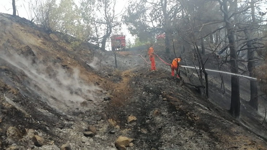 Kahramanmaraş'ta örtü yangını