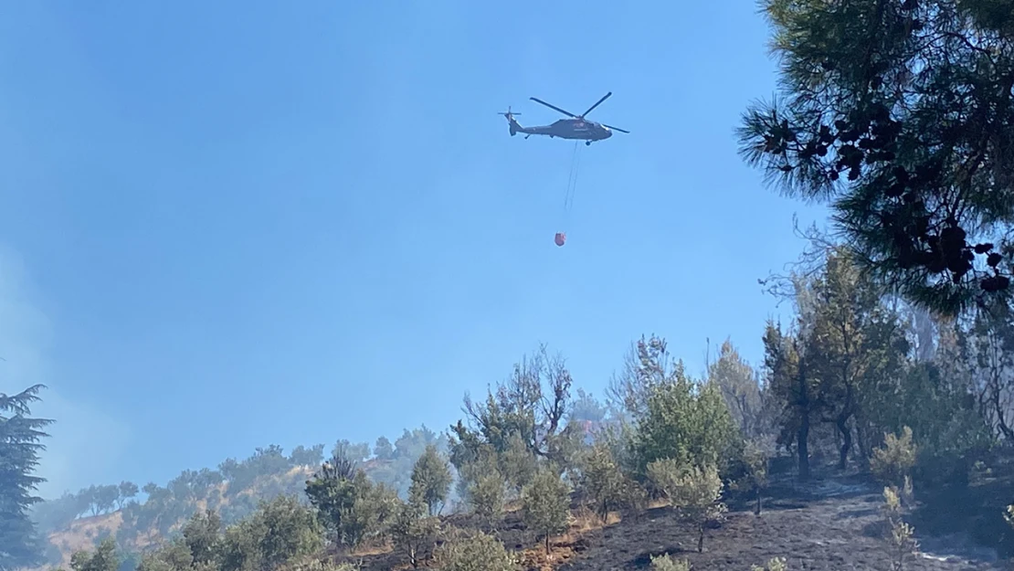 Kahramanmaraş'ta öyle saatlerinde başlayan orman yangını büyüyor