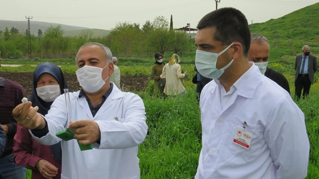 Kahramanmaraş'ta süne parazitoid dağıtım töreni yapıldı