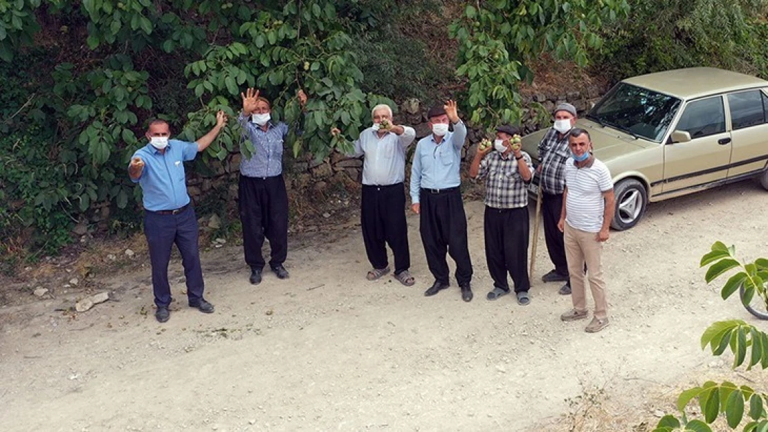 Kahramanmaraş'ta üreticilere tarımsal destek