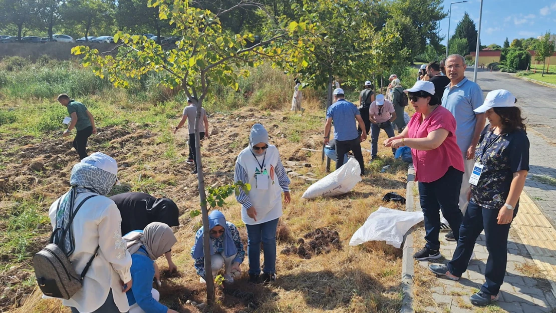 Kahramanmaraş'ta uygulanan sürdürülebilir tarımla geleceğe projesi tamamlandı