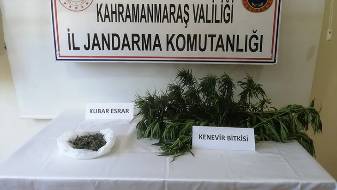 Kahramanmaraş'ta uyuşturucu operasyonu