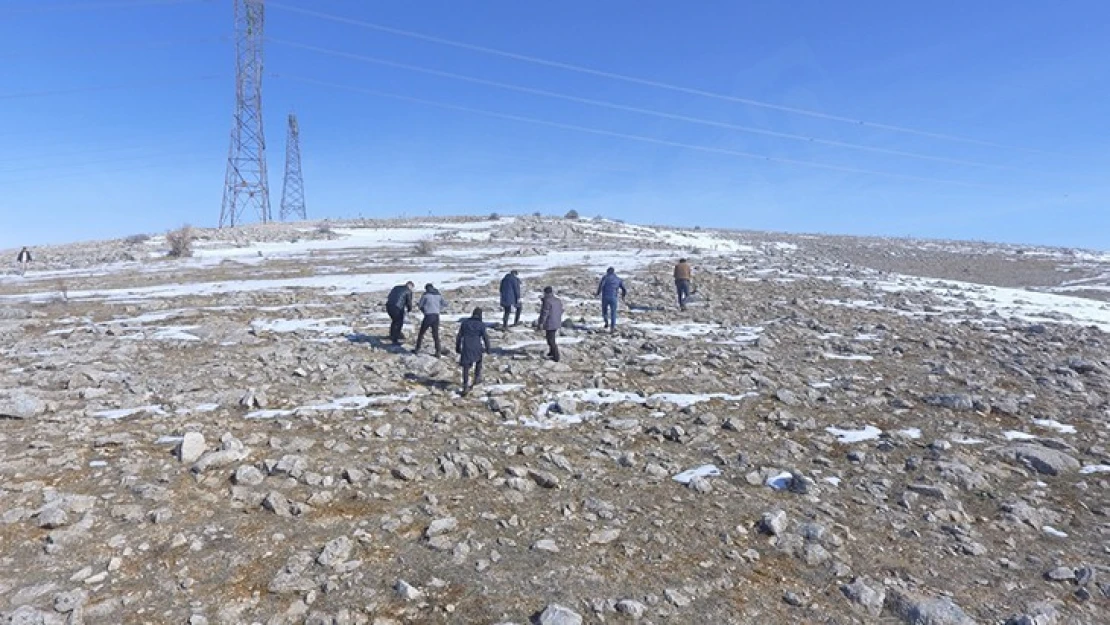 Kahramanmaraş'ta yaban hayvanları için doğaya yem bırakıldı