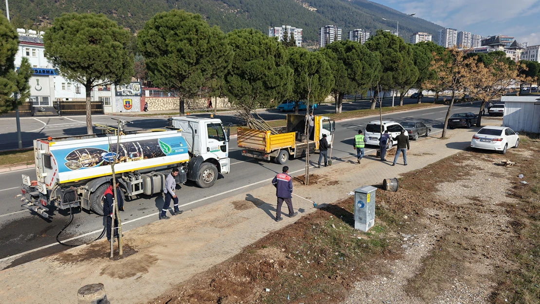 Kahramanmaraş'ta yeşil dönüşüm başladı