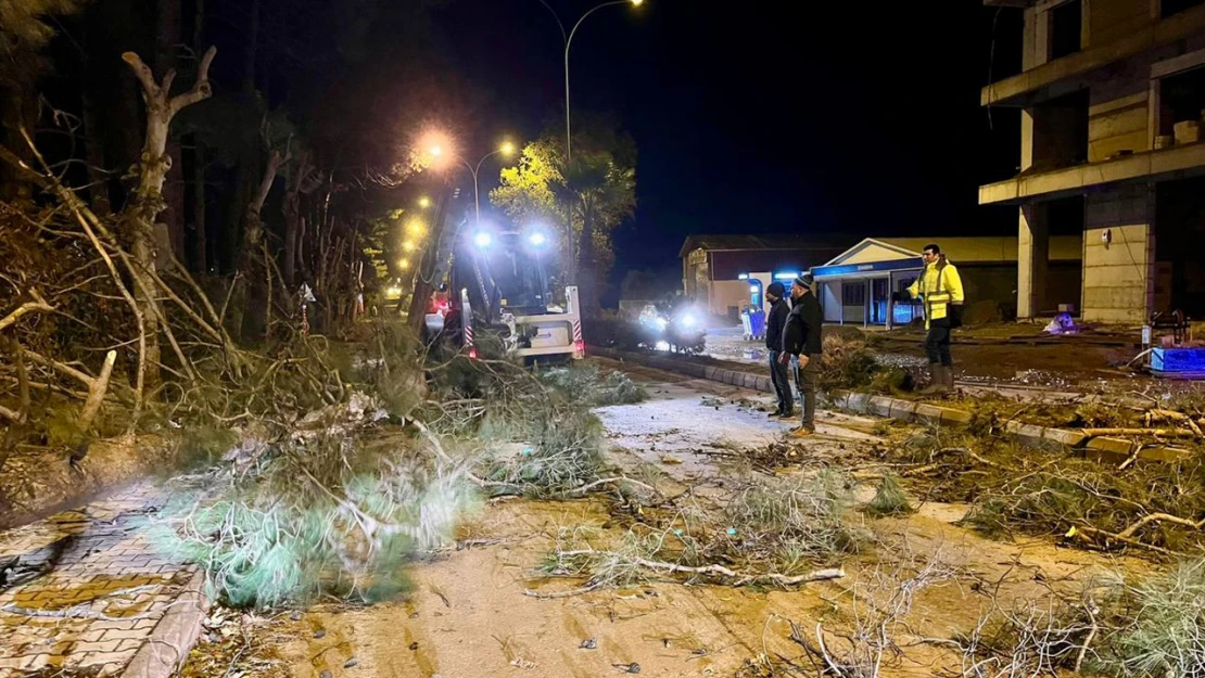 Kahramanmaraş'taki fırtına saatte 95 kilometre hıza ulaştı