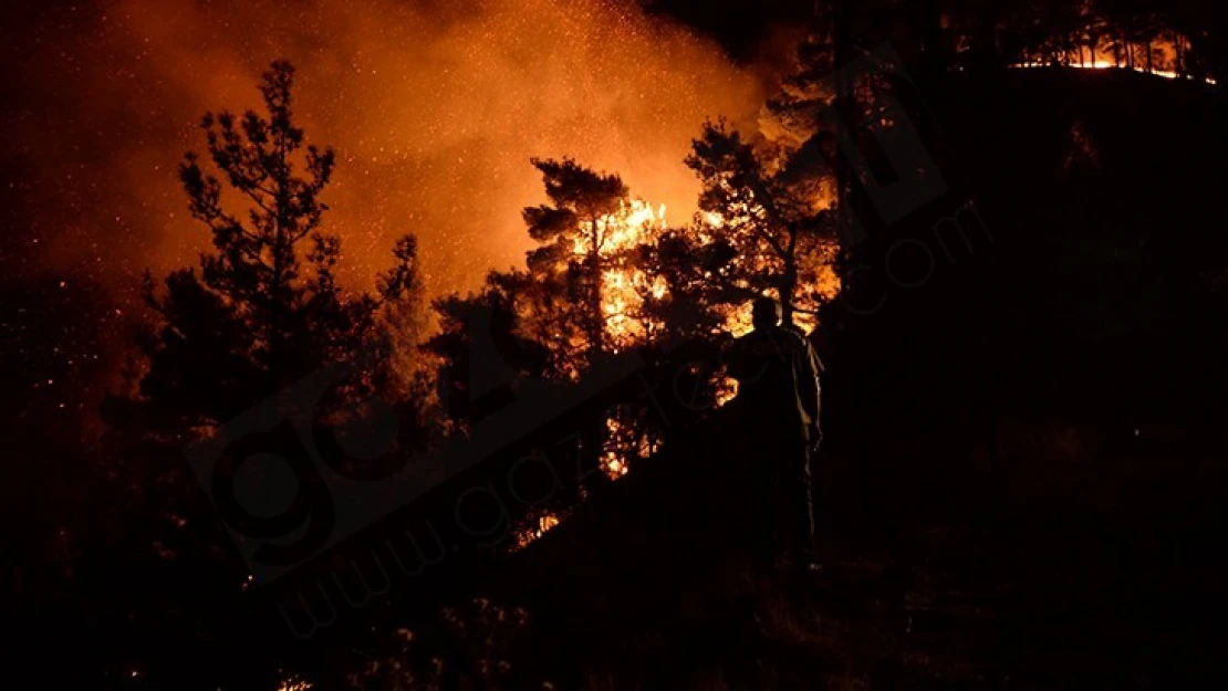 Kahramanmaraş'taki orman yangını sürüyor